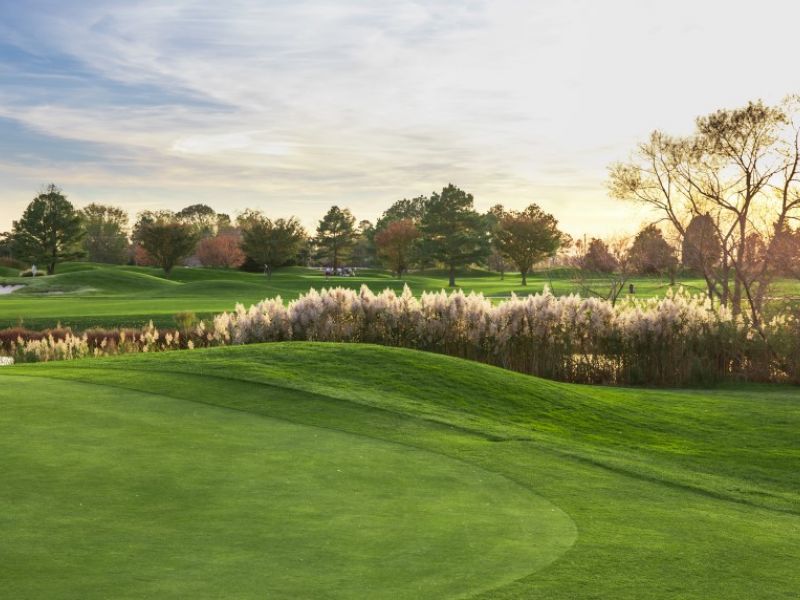 The Rookery Golf Club Public Course Milton / Milford DE Course